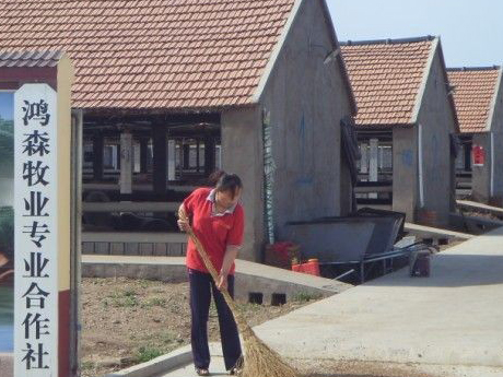 诸城鸿森牧业合作社